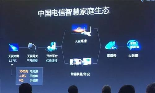 中国电信智能组网